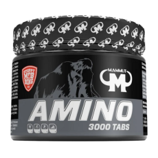 Mammut Amino 3000