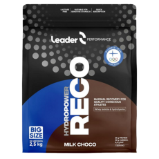 Leader Reco Hydropower