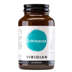 Viridian Echinacea