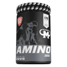 Mammut Amino 3850