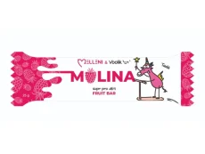 Melleni FRUIT BAR Malina 25g